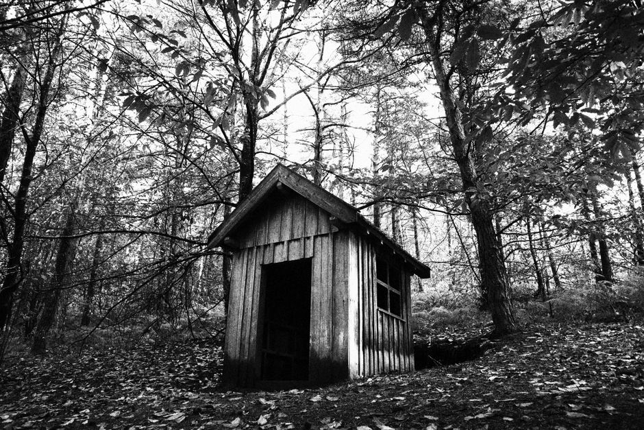 Jongenskamer met kleurrijk herfstlandschap fotobehang. Jongenskamer met kleurrijk herfstlandschap fotobehang.
